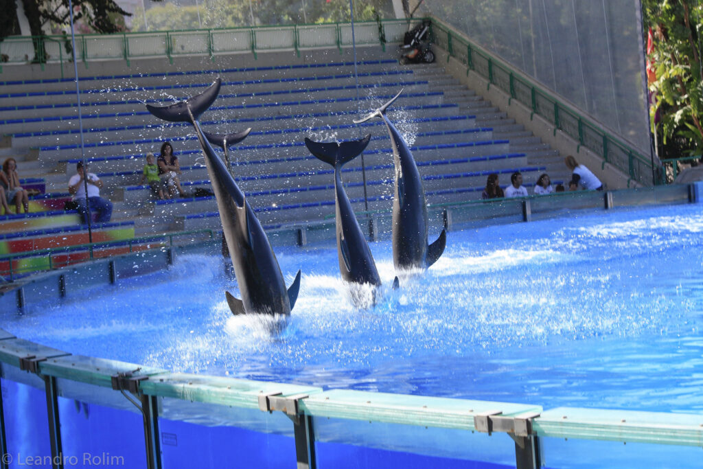 Zoo Lisboa