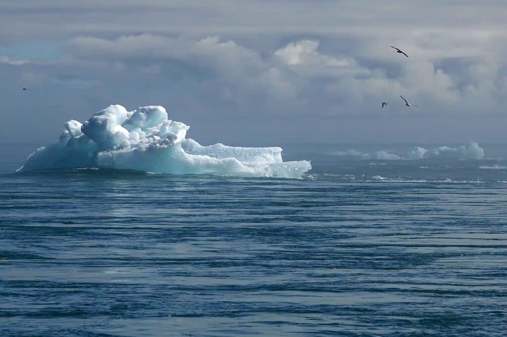 Iceberbg