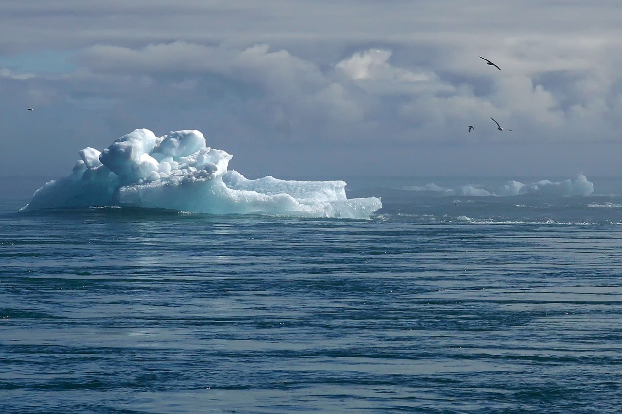 Iceberbg